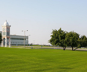 Warwick Doha