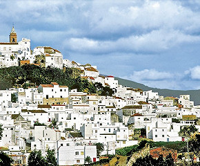 Den Reiz Andalusiens entdecken
