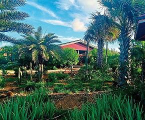 Red Palm Village