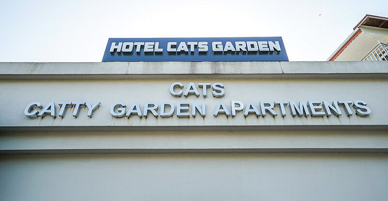 Catty Cats Garden Hotel