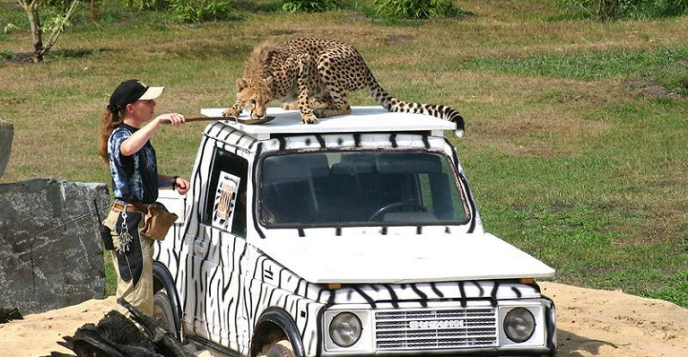 Safariland Stukenbrock Erlebnisresort