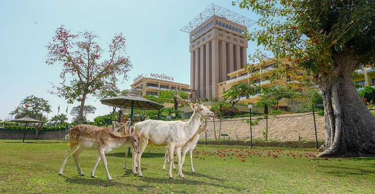 Mövenpick Resort Assuan inklusive Privattransfer